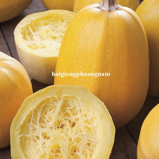 10h - Hạt Giống Bí Sợi Mì Jonhny 'S F1 Phương Nam