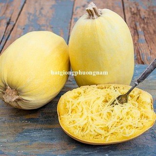 10h - Hạt Giống Bí Sợi Mì Jonhny 'S F1 Phương Nam