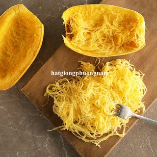 10h - Hạt Giống Bí Sợi Mì Jonhny 'S F1 Phương Nam
