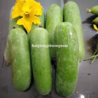 20 Hạt - Hạt Giống Bí Đao Chanh F1 Phương Nam