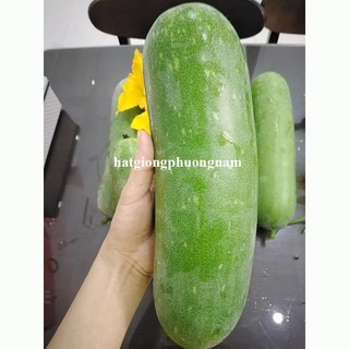 20 Hạt - Hạt Giống Bí Đao Chanh F1 Phương Nam