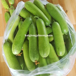 20 Hạt - Hạt Giống Bí Đao Chanh F1 Phương Nam