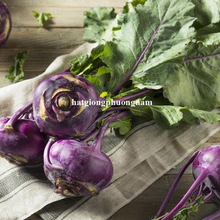 0,5 Gram - Hạt Giống Su Hào Tím Củ To Không Sơ Phương Nam