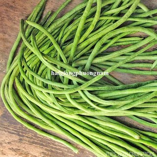 20 Gram - Hạt Giống  Đậu Đũa Phương Nam