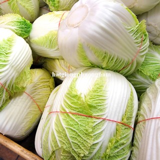 0,5 Gram - Hạt Giống Cải Thảo Phương Nam