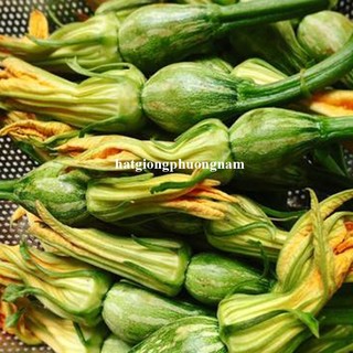 10 Hạt - Hạt Giống Bí Nụ Phương Nam