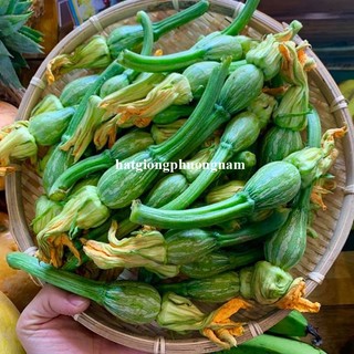 10 Hạt - Hạt Giống Bí Nụ Phương Nam
