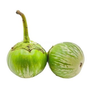 1 Gram - Hạt Giống Cà Dĩa Sọc Xanh Phương Nam