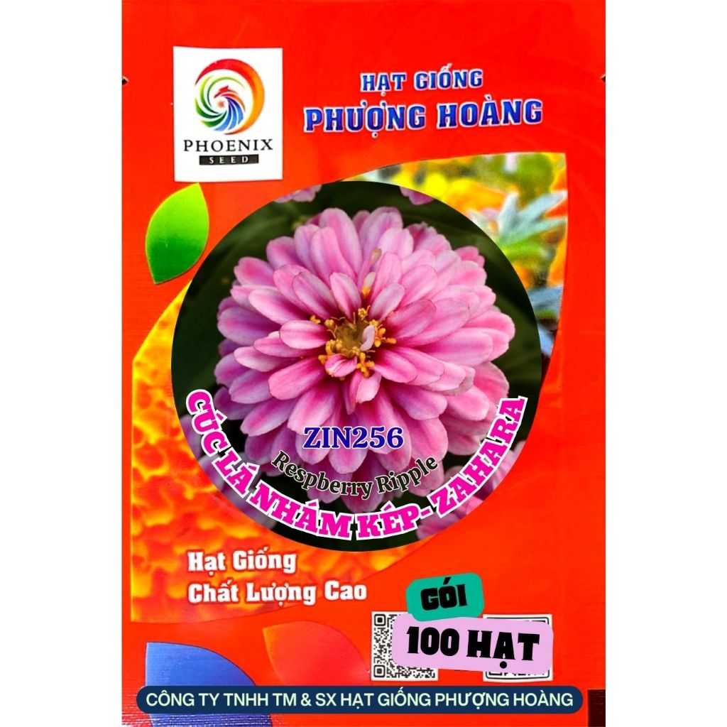 Hạt Giống Cúc Lá Nhám ZAHARA ZIN 256 respberry ripple Hạt Giống Phượng Hoàng