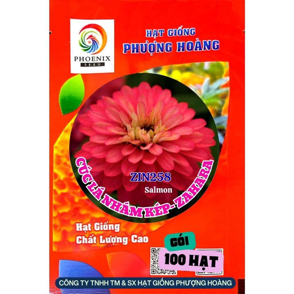 Hạt Giống Hoa Cúc Lá Nhám Bán Kép ZIN258 Salmon Hạt Giống Phượng Hoàng