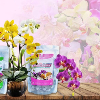 Phân bón gốc cho lan MINRO 6-4-6+TE - Phân bón Kích ra hoa, lâu tàn - Gói 36 túi lưới