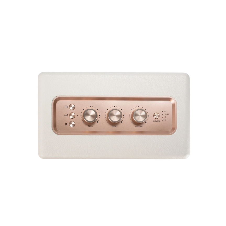 Loa Bluetooth Retro Alpha Works W89 - Dòng Loa Di Động Retro Cho Thế Hệ Trẻ Sống Có Gu