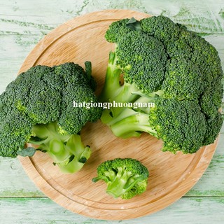 0,5 Gram - Hạt Giống Súp Lơ Xanh Phương Nam