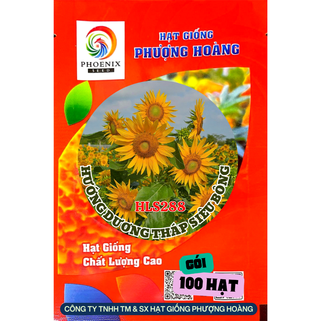 Hạt Giống Hoa Hướng Dương Cao Tháp Siêu Bông HLS288 Hạt Giống Phượng Hoàng