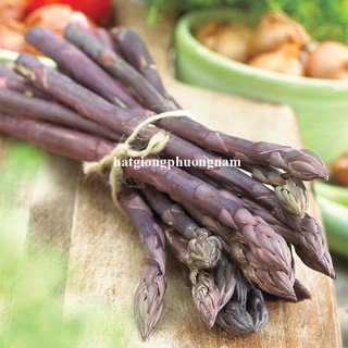 5h - Hạt Giống Măng Tây Tím F1 Phương Nam