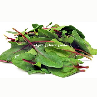 0,5 Gram - Hạt Giống Cải Bó Xôi Đỏ Chịu Nhiệt Cây To F1 Phương Nam