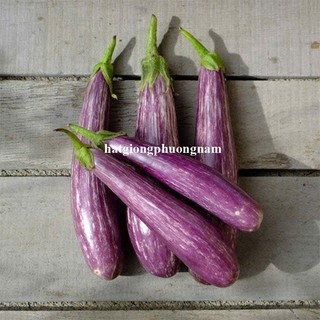 50 Hạt - Hạt Giống Cà Tím Sọc Trắng Phương Nam