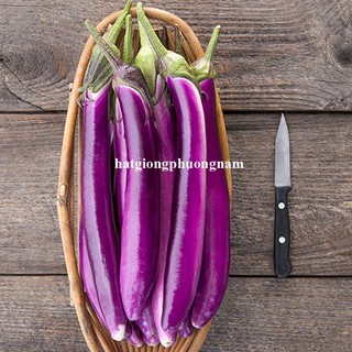 20 Hạt - Hạt Giống Cà Tím Siêu Dài 50 - 60 Cm Phương Nam