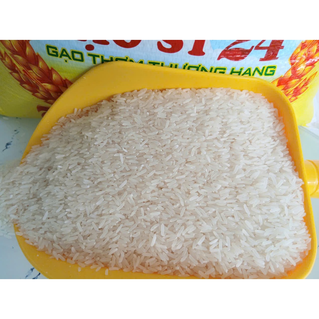 GẠO ST24 - DẺO DAI, NGỌT CƠM