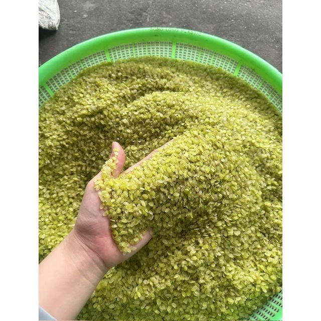 CỐM KHÔ -TÂM SHOP ĐẶC SẢN TRUYỀN THỐNG HÀ NÔI , Làm Quà, làm Xôi, Chè, chả,..CỐM KHÔ loại ngon dẻo )