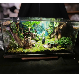 Terrarium Phong Thủy "U LINH TĨNH VŨ" - Giọt Mưa Tĩnh Lặng Giữa Chốn U Linh, Gội Rửa Muộn Phiền