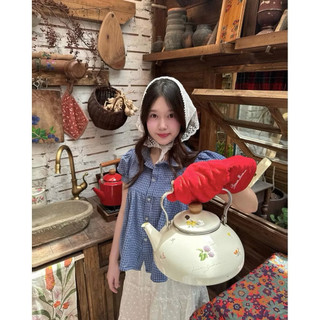 Áo nữ dáng babydoll cổ tròn caro xanh tay bo chun chất cotton xinh xắn VANISA CT427