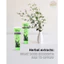 Kem đánh răng Ecodenta 7 loại Thảo Mộc 100ml | Bảo Vệ Nướu - Chắc Men Răng - Ngừa Cao Răng | Kem Đánh Răng Thảo Dược