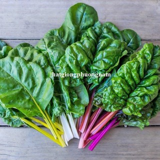 5 Gram - Hạt Giống Cải Cầu Vòng Phương Nam
