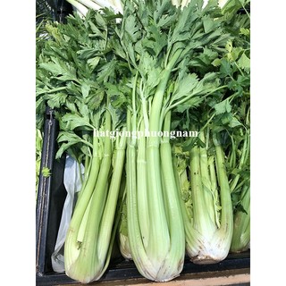 0,5 Gram - Hạt Giống Cần Tây Mỹ Khổng Lồ Chịu Nhiệt Phương Nam