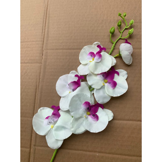cành lan hồ điệp in 3D 6bông(60cm)-bông lan vải lụa,trang trí chậu hoa,phòng khách, khách sạn,cà phê,trang trí quà tặng.
