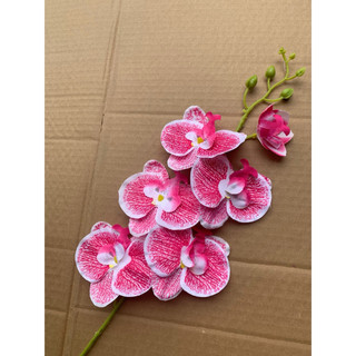 cành lan hồ điệp in 3D 6bông(60cm)-bông lan vải lụa,trang trí chậu hoa,phòng khách, khách sạn,cà phê,trang trí quà tặng.