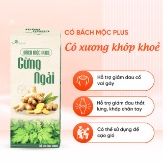 Thanh Lăn Xương Khớp Gừng Ngải Cứu Bách Mộc Plus Hỗ Trợ Giảm Đau Cổ Vai Gáy, Thắt Lưng, Cạo Gió 130ml