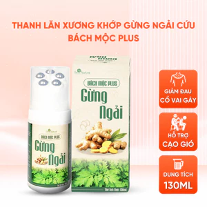 Thanh Lăn Xương Khớp Gừng Ngải Cứu Bách Mộc Plus Hỗ Trợ Giảm Đau Cổ Vai Gáy, Thắt Lưng, Cạo Gió 130ml