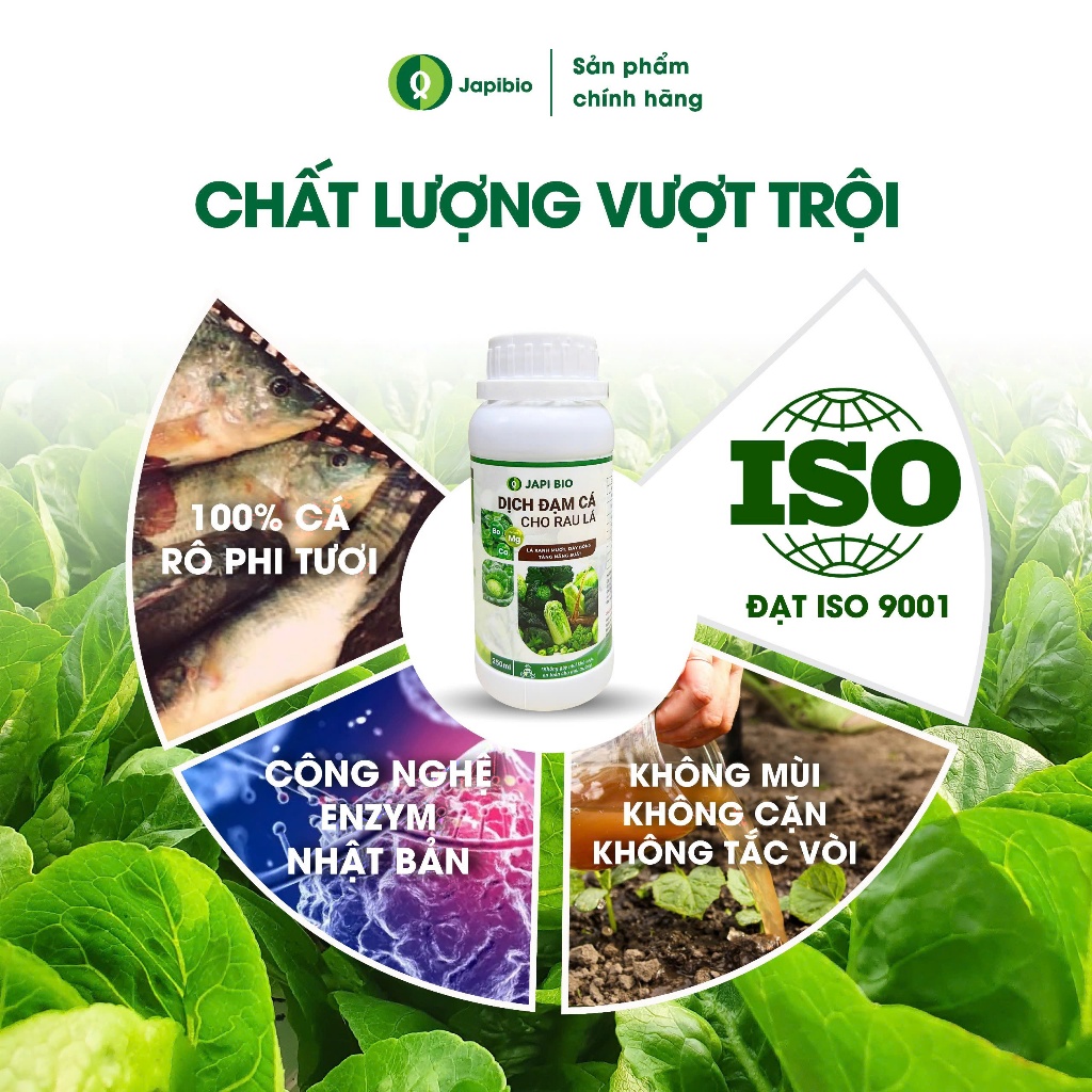 Đạm Cá Hữu Cơ JapiBio 250ml – Phân Bón Lá Nguyên Chất Không Mùi, Kích Rễ Nuôi Lá Cho Rau Ăn Lá