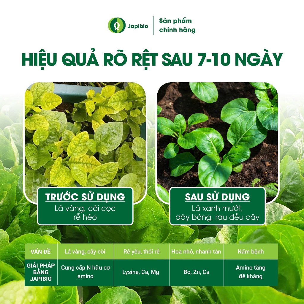 Đạm Cá Hữu Cơ JapiBio 250ml – Phân Bón Lá Nguyên Chất Không Mùi, Kích Rễ Nuôi Lá Cho Rau Ăn Lá