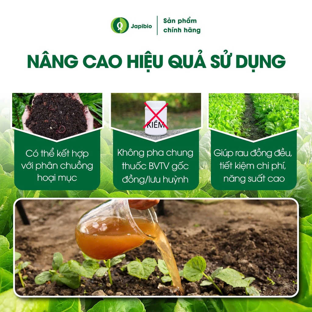 Đạm Cá Hữu Cơ JapiBio 250ml – Phân Bón Lá Nguyên Chất Không Mùi, Kích Rễ Nuôi Lá Cho Rau Ăn Lá