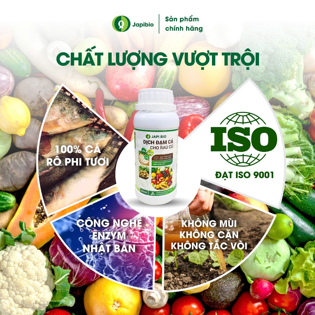 Đạm Cá Hữu Cơ JapiBio 250ml – Phân Bón Nguyên Chất Không Mùi, Kích Rễ Nuôi Củ To Đều Chắc Ruột
