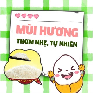 Gạo An Lành Aan túi 5kg - bao bì mới - Chính hãng Gạo sạch Aan
