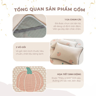 Chiếu điều hòa băng lạnh Bí Ngô M2T BEDDING mềm - mịn - mát - đủ kích thước