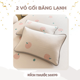 Chiếu điều hòa băng lạnh Bí Ngô M2T BEDDING mềm - mịn - mát - đủ kích thước