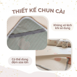 Chiếu điều hòa băng lạnh Bí Ngô M2T BEDDING mềm - mịn - mát - đủ kích thước