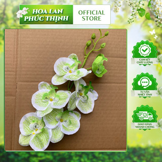 cành lan hồ điệp in 3D 6bông(60cm)-bông lan vải lụa,trang trí chậu hoa,phòng khách, khách sạn,cà phê,trang trí quà tặng.