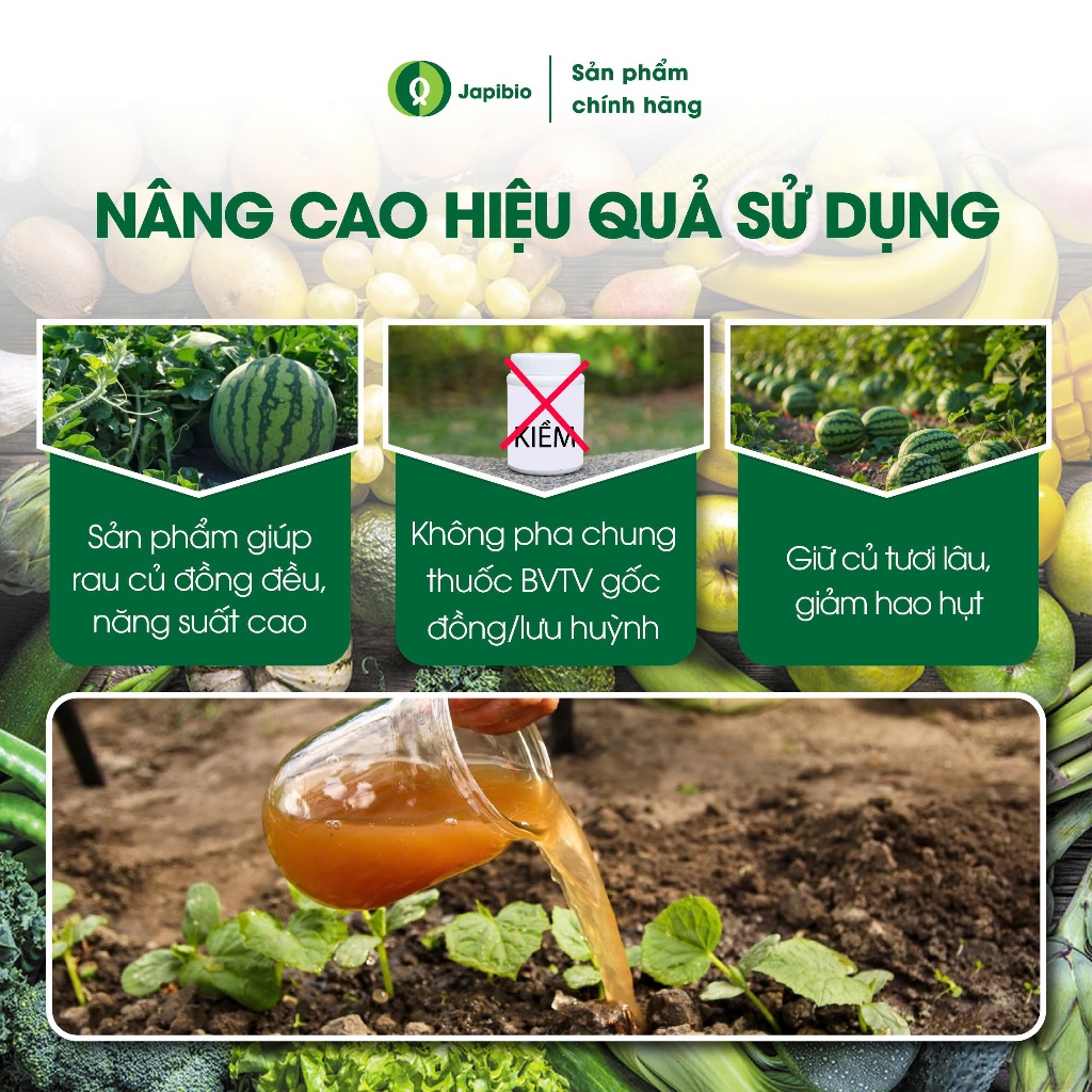 Đạm Cá JapiBio 250ml – Phân Bón Hữu Cơ Cao Cấp Cho Rau Củ, Không Mùi, Kích Rễ Nuôi Củ To Đẹp
