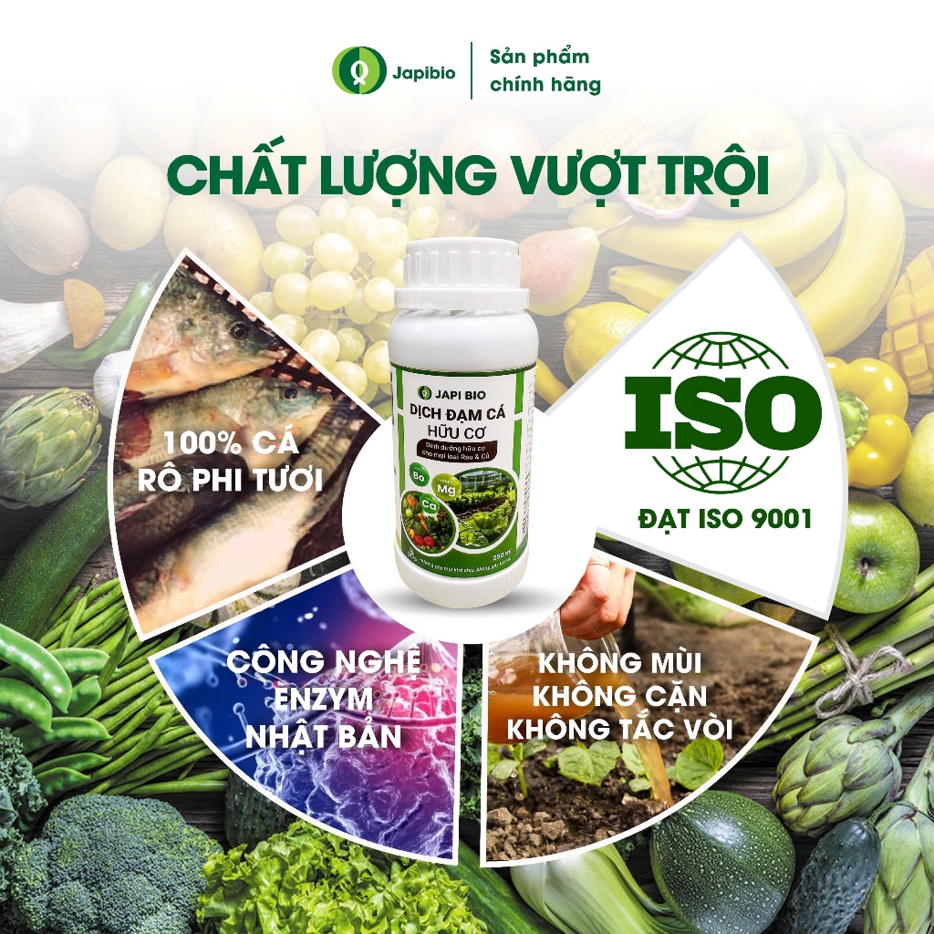 Đạm Cá JapiBio 250ml – Phân Bón Hữu Cơ Cao Cấp Cho Rau Củ, Không Mùi, Kích Rễ Nuôi Củ To Đẹp