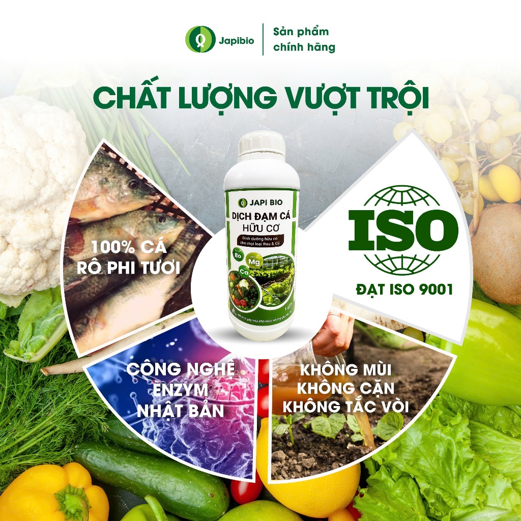 Đạm Cá Hữu Cơ JapiBio 1L – Phân Bón Nguyên Chất, Kích Rễ Khỏe, Lá Xanh, Củ To Đều