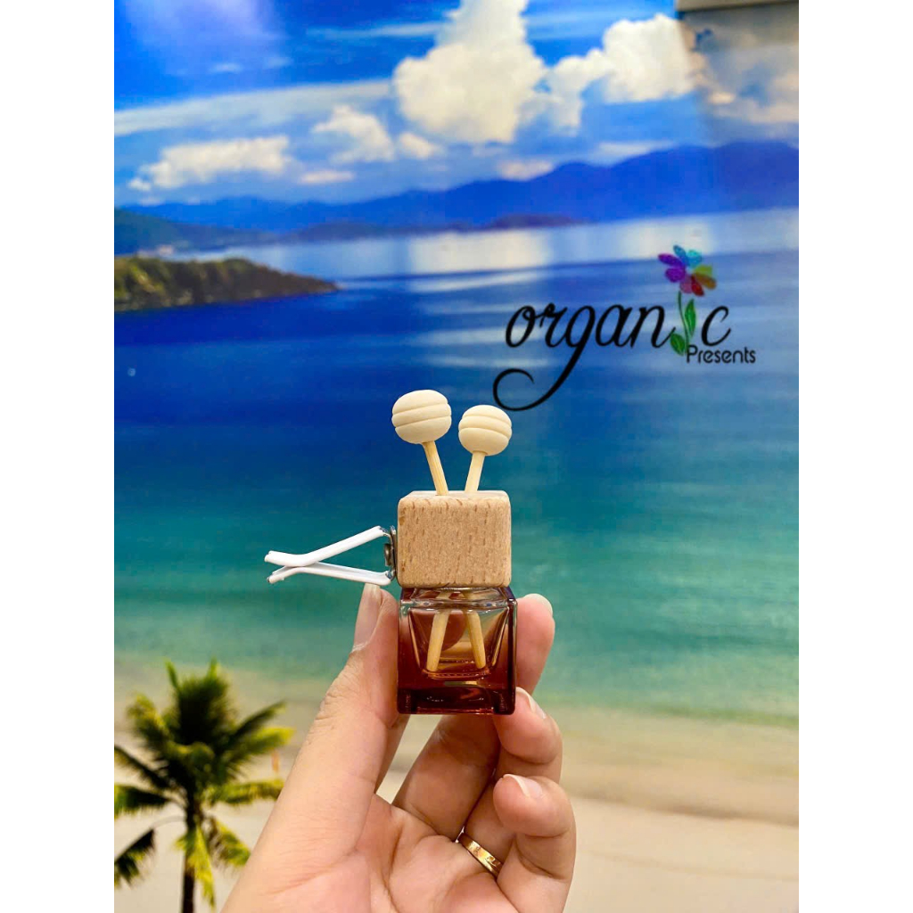 CHAI KHUẾCH TÁN KẸP CỬA GIÓ Ô TÔ 10 ML