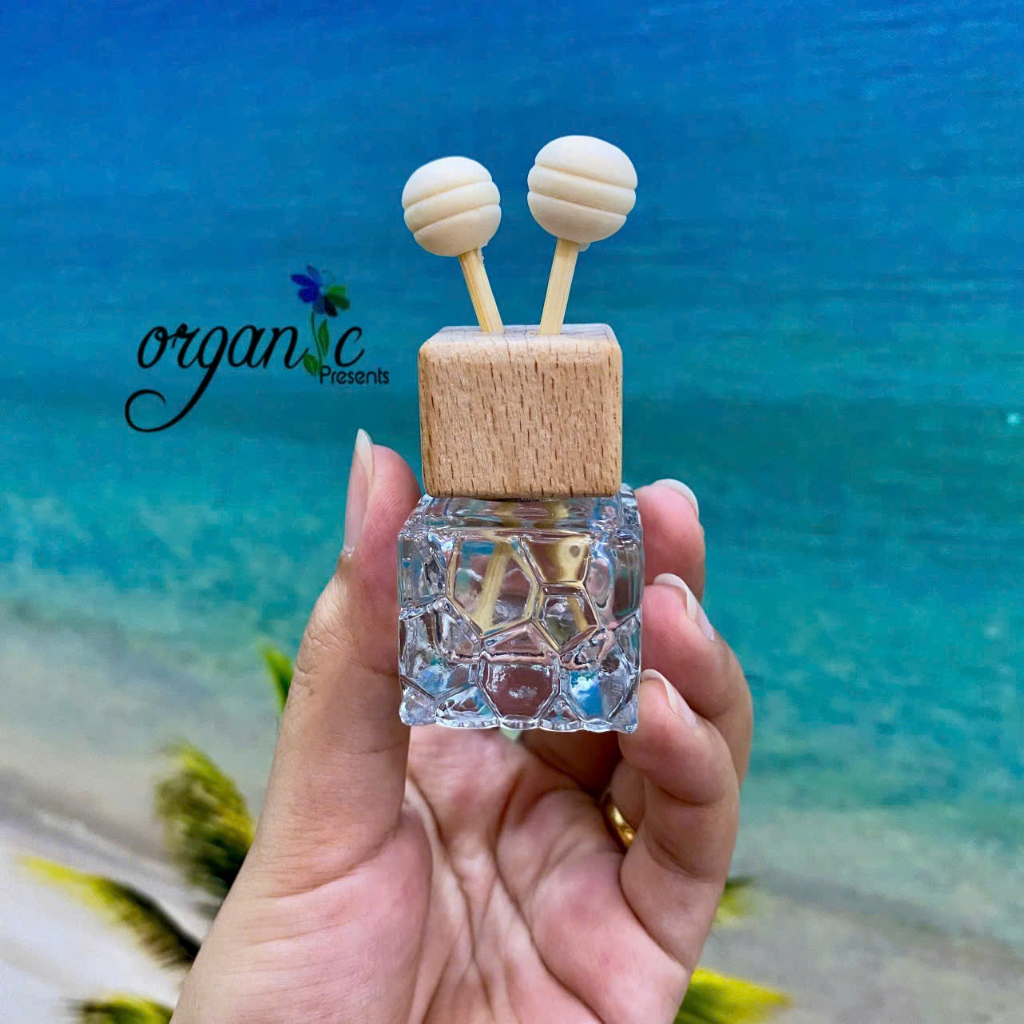 CHAI KHUẾCH TÁN KẸP CỬA GIÓ Ô TÔ 10 ML