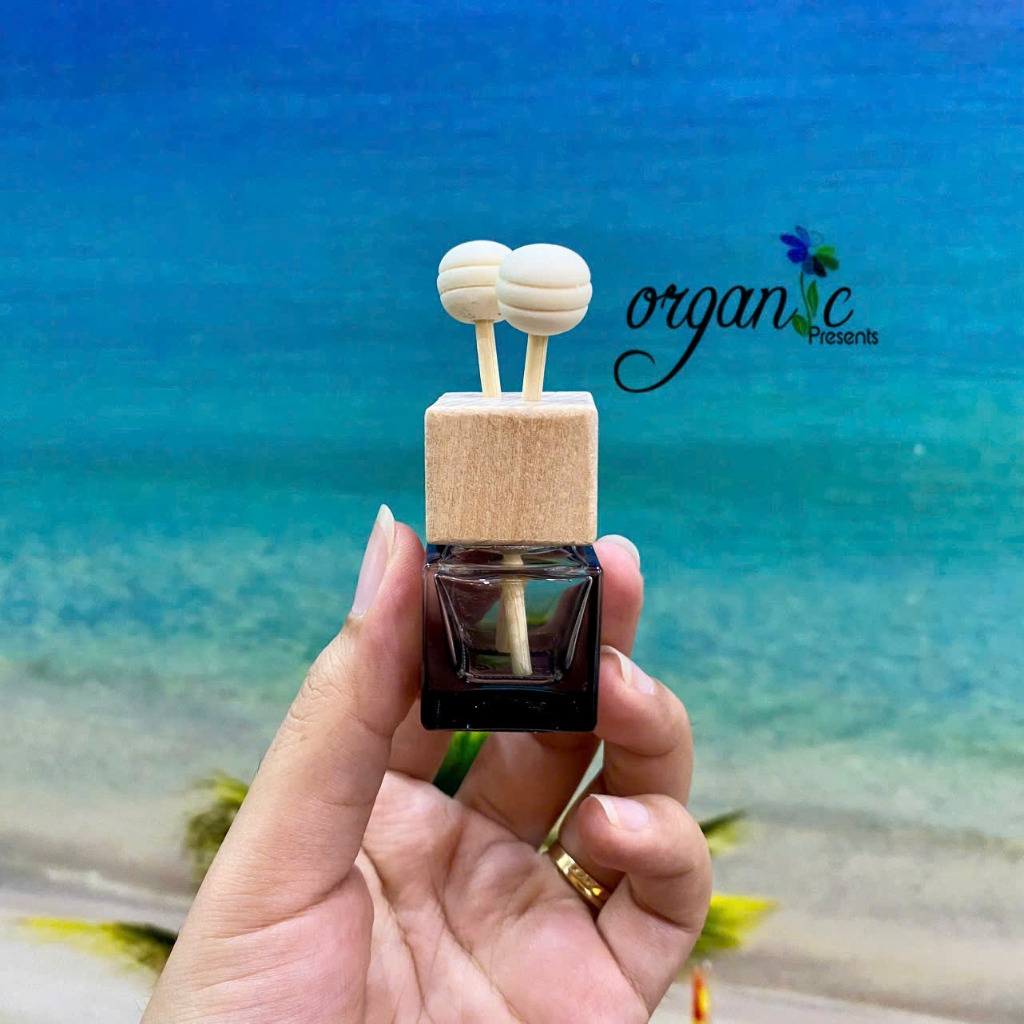 CHAI KHUẾCH TÁN KẸP CỬA GIÓ Ô TÔ 10 ML