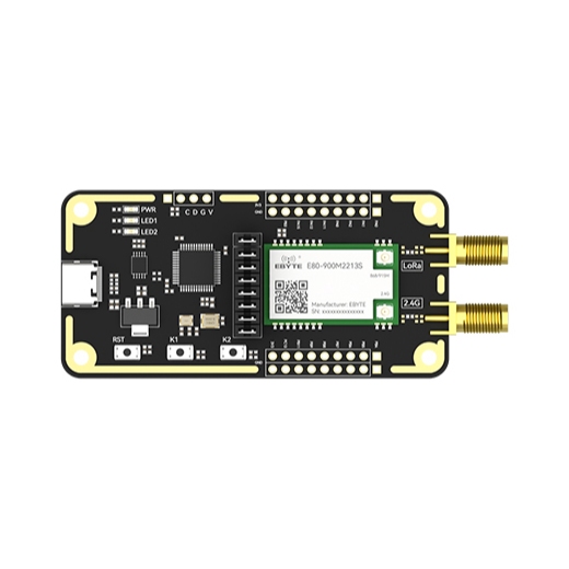 Ebyte Kit phát triển E80 chip STM32F103C8T6 + Semtech LR1121 Lora 2 ...
