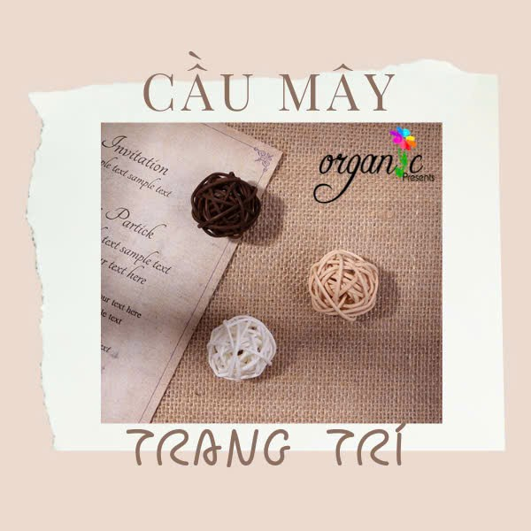 QUE KHUẾCH TÁN TINH DẦU - KHÔNG BAO GỒM CHAI LỌ, CHỈ CÓ QUE